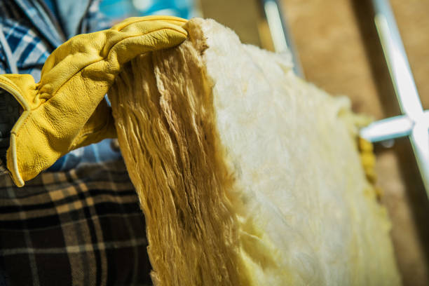 Best Insulation Contractor Near Me  in Sedro Woolley, WA